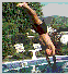 Pic of someone diving into a pool